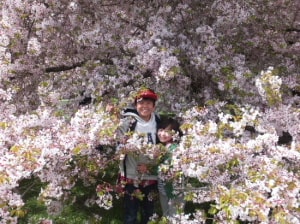 クライストチャーチ植物園　桜