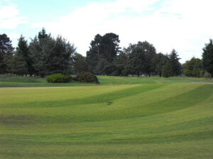 Russley Golf Club　ラスリーゴルフクラブ（写真 by F）