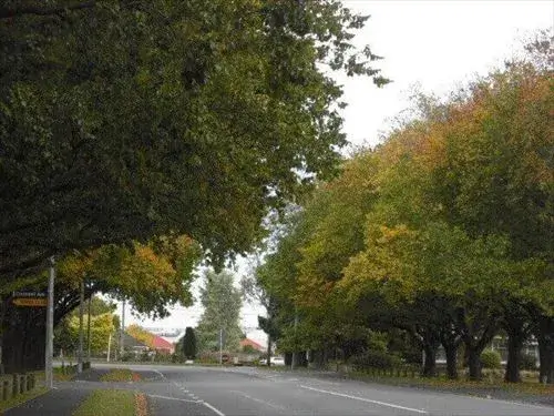 広大なBurwood Parkの中を走る道路をはさんだ紅葉で色が黄色に変わりかけている木々