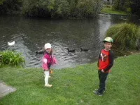 モナベイルの中を流れるエイボン川に浮かぶカモたち モナベイル内エイボン川のカモたち