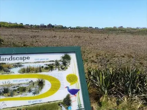 展望台から眺める広大な湿地帯