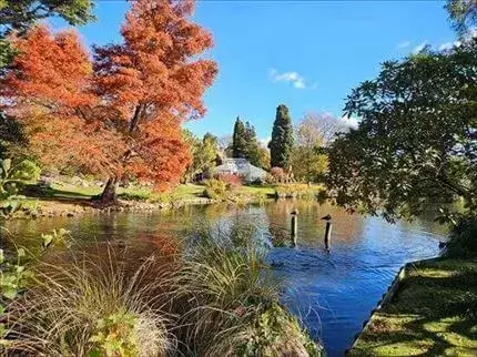 5月は最高にきれいな紅葉の季節、モナベイル