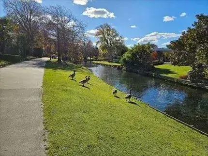 クライストチャーチ モナベイル庭園、カモが戯れる小川と緑が映る清流の風景