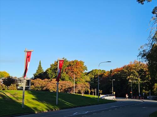 紅葉に染まる木々のカンタベリー大学内の敷地