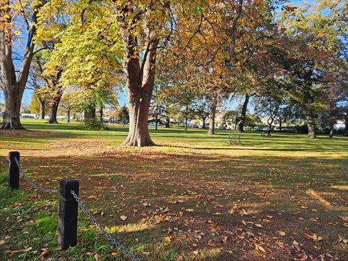 綺麗な芝生が広がるリカトンブッシュ公園 綺麗な芝生が広がるリカトンブッシュ公園