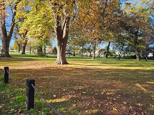 綺麗な芝生が広がるリカトンブッシュ公園