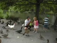 ホームステイゲストとホースシューレイクでカモにえさやり