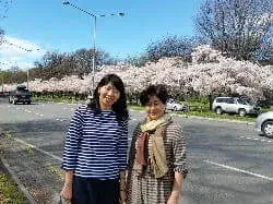 ハグレーパークの北側の桜並木で満開になった桜をバックにホームステイゲストの女性たちが立っている（10月）