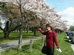 満開に咲くハグレーパークの桜並木の脇に立つ赤い服を着た女性