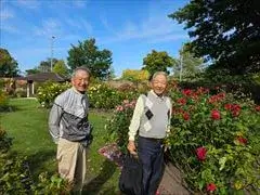 バラが満開のモナベイルにて赤、ピンク、黄色とカラフルなバラに囲まれて立っているシニアホームステイに来られた二人の男性たち