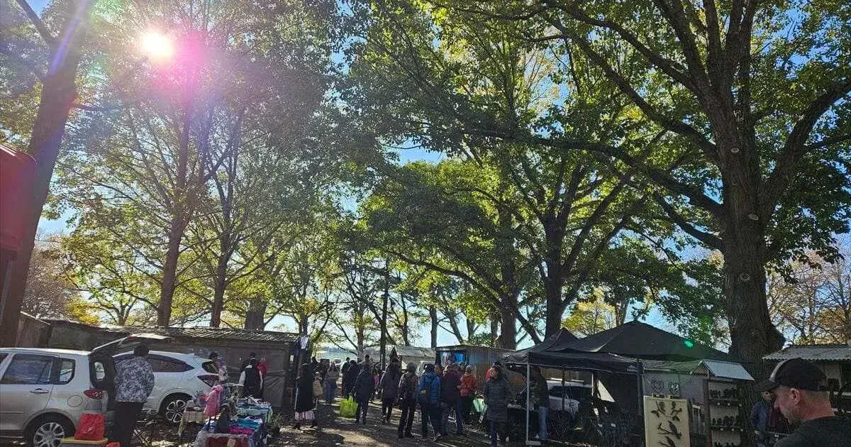 バーゲンセール　キッチャクード　立葉　リドレイ寄り ファニチャーエキサイト！2026年！初売り！第二弾！（2026年1月10日(土